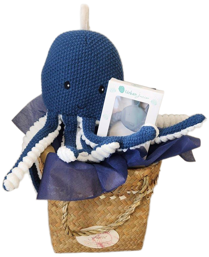 Ocho the Octopus baby gift
