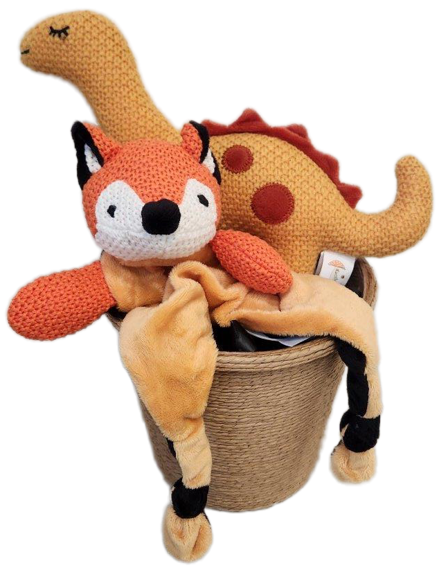 Baby Dino and Mr fox Gift basket
