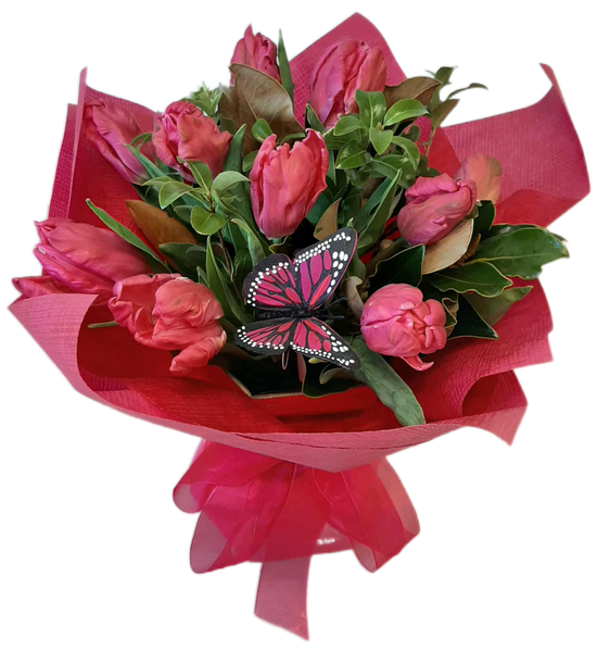 Tulip Vox
