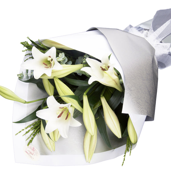 Christmas Lillies galore