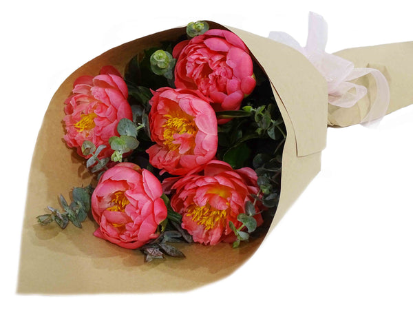 Paeony Power